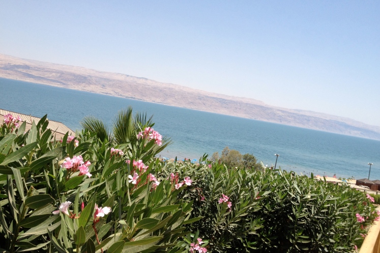 Pink flowers and the Dead Sea in the background